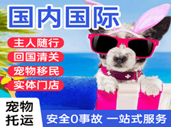 东郊航空空运国际宠物托运 【国